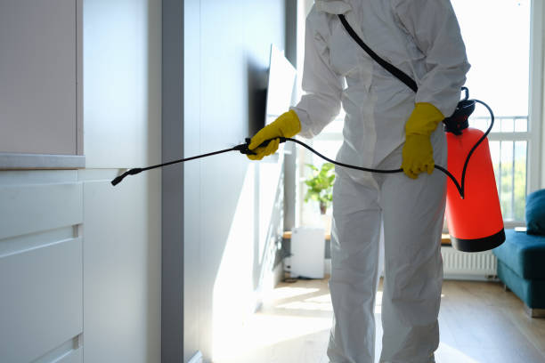 Best Post-Flood Mold Remediation in Due West, SC